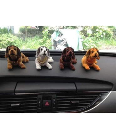 KAFA SALLAYAN KÖPEK YAPIŞKANLI