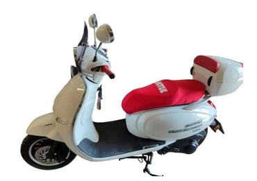 MOTOR KILIFI ÇEŞİT